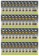 Batterie „23A“, 40 x 1er