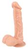 Naturdildo „European Lover Medium“, 20 cm, mit Saugfuß