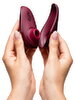 Erotik-Adventskalender „Couples“ inklusive Womanizer Liberty und We-Vibe Sync Lite