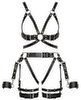 Harness-Set aus Leder