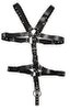 Harness aus Leder