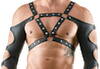 Harness-Top inklusive Fessel-Jock