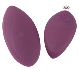 Hauptbild von Auflegevibrator mit Fernbedienung