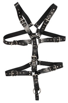 Harness aus Leder