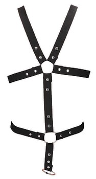 Harness mit Cockring