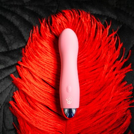 Hauptbild von Minivibrator „Maison Tabou“ mit starker Vibration (7 Modi)