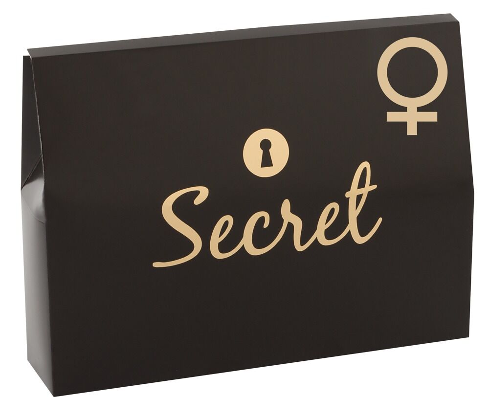 4-teiliges Set „Your Secret Pleasure“ für Frauen mit Toys und Massage-Öl