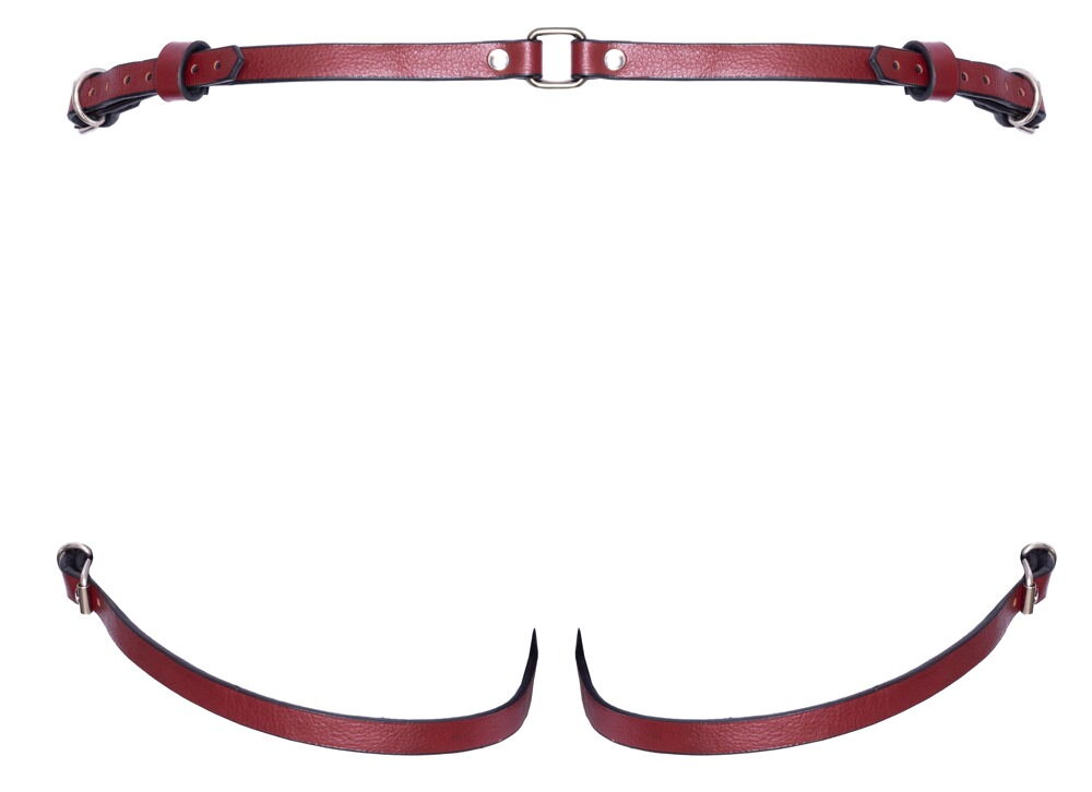 Strap-on aus Leder