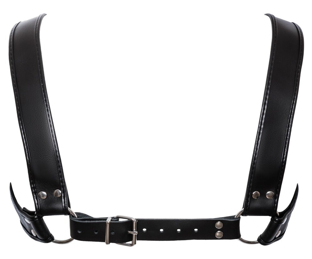 Harness aus Leder