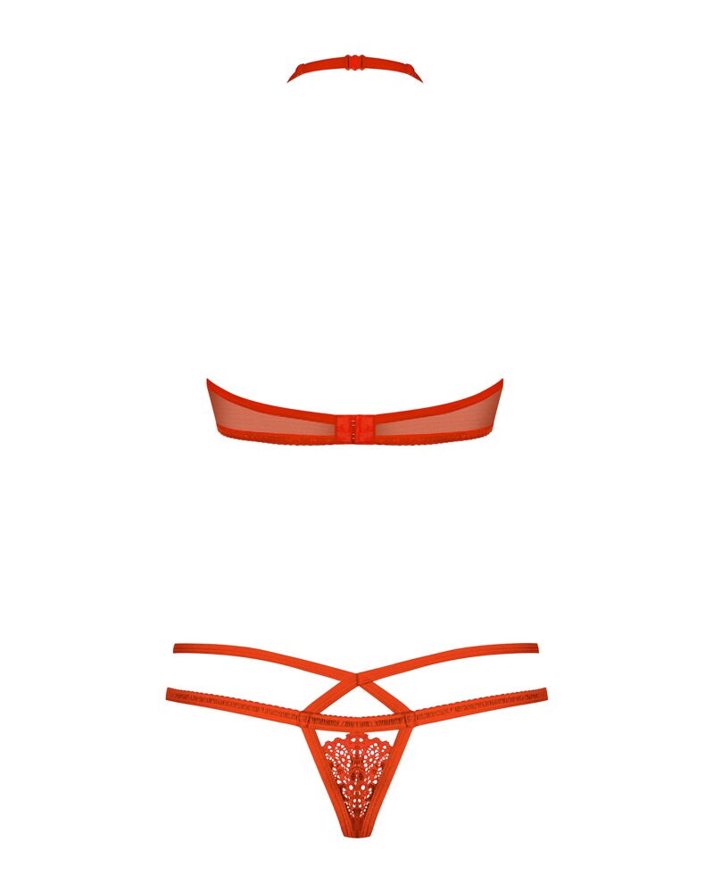 Dessous-Set aus roter Spitze
