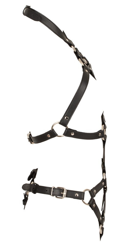 Harness-Body, mehrfach verstellbar