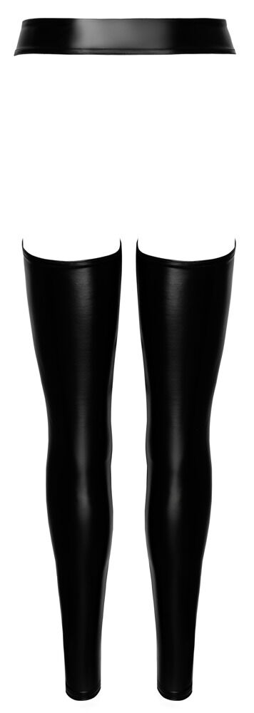 Chaps „Project Fetish“ im Powerwetlook
