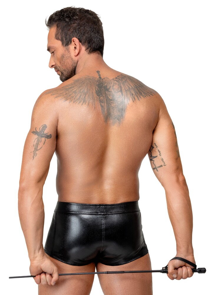 4-teiliges Peitschen-Set