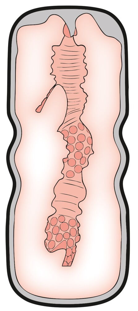 Masturbator im lebensechten Style & Feel