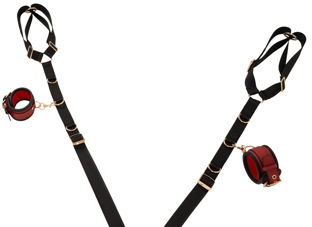 Bettfessel-Set auch für die Tür