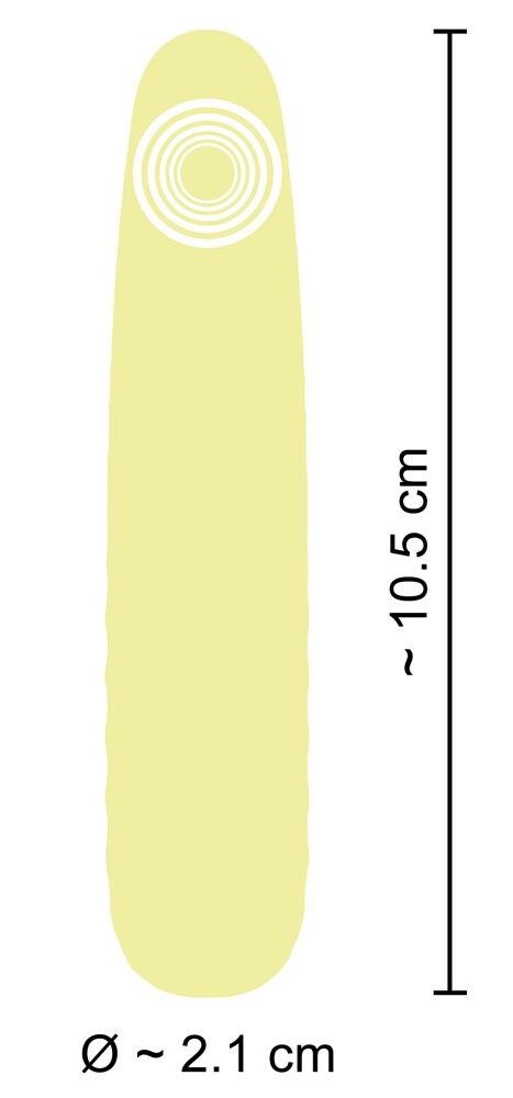 Minivibrator mit abgeflachter Lustpunkt-Spitze